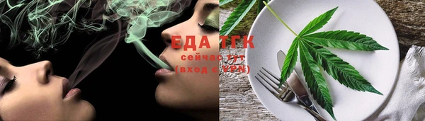 гашик Няндома