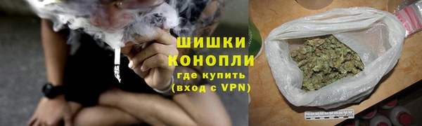 гашик Няндома