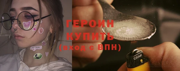 гашик Няндома