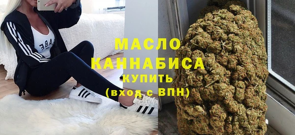 гашик Няндома