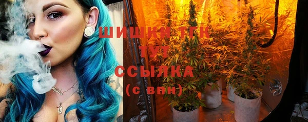 гашик Няндома