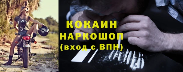 гашик Няндома