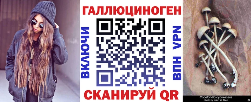 Галлюциногенные грибы мицелий  закладки  Лениногорск 